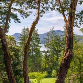 Beautiful WaterViews, Pet-Friendly, Close to Town, Hotel in Eastsound