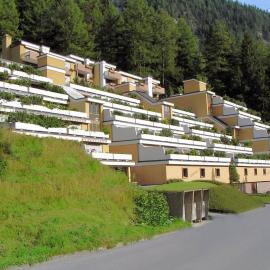 Lärchenwald 1905
