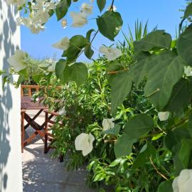 Eleonas Aparments 2, Hotel in Mochlos