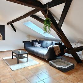 Loft mit Weiherblick im fränkischen Seenland