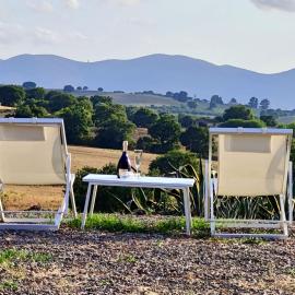 Agriturismo Lo Scalandrino, hotel in Grosseto