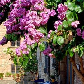 La Bouganville, hótel í Assisi