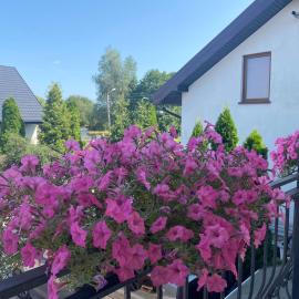 Noclegi AirportPark, hotell sihtkohas Pyrzowice
