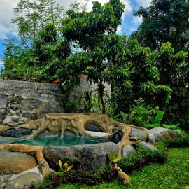 Royal Amertha Ubud Jungle View, מלון בגיאניאר