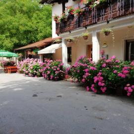 Domačija Bubec, hotel v mestu Ilirska Bistrica