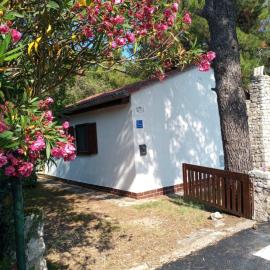 House Jasmina