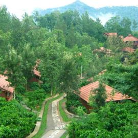 Wayanad Heritage Pool Resort
