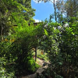 chalet de montaña