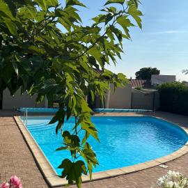 Charmant pavillon avec piscine et animaux acceptés - Sorède - FR-1-732-32, hotel Sorède-ben