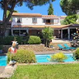 Entre les pins et les oliviers