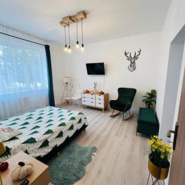Hășmaș Peak Escape, hotel in Bălan