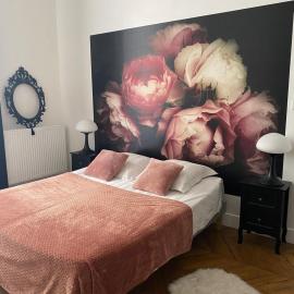 La chambre d Olympe Chambre d hôtes au cœur de la cité historique, hotel v destinaci Montauban