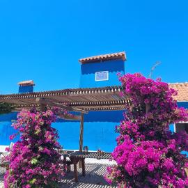 CasAzul Slow Stay in Nature, Hotel in Bicas