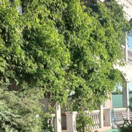 Вилла Александра, hotel em Bolʼshaya Balka