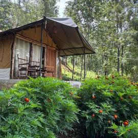 Deshadan Jungle, hotel a Kanthalloor