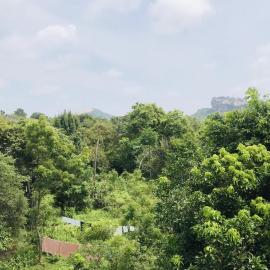 Sigiriya World Hostal