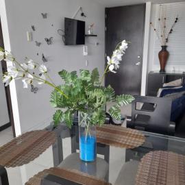 Lindos Apartamentos Economicos en el Eje Cafetero