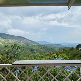 Aloha farm, hotel Namban városában
