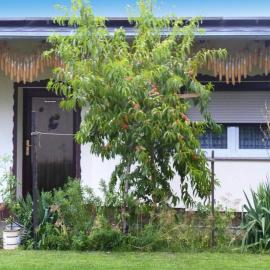 Bungalow in Lübben with a terrace