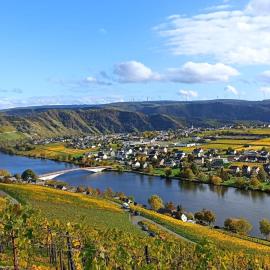Ferienwohnung mit Blick auf die Moselloreley