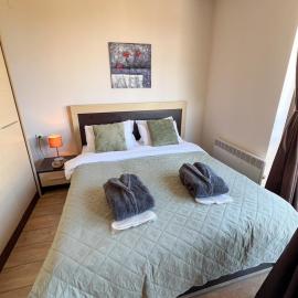 Alpine Lodge Chalet in Bansko