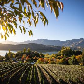 Stoneridge Estate, hotel i Queenstown