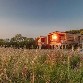 Ostsee Baumhaushotel - Auf Höhe der Baumkronen
