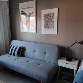 Spacious and charming studio, Hotel in Rovaniemi
