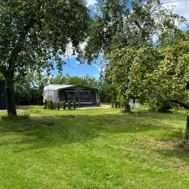 Camping Relaxing im Garten