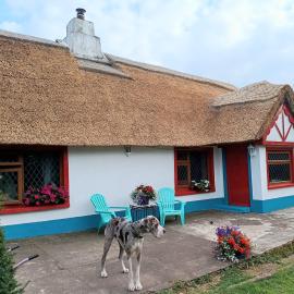 Aisling Cottage, hotel a Youghal