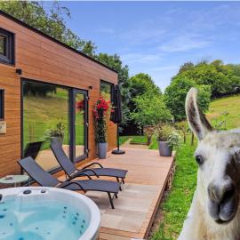 La mini maison du Lama, viešbutis mieste Libin