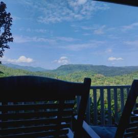 Rainforest Nature House