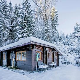 Rustic chalet near SkiWelt Wilder Kaiser