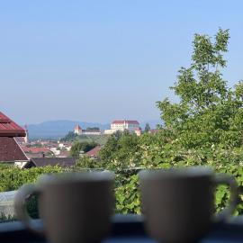 Rezidenca Vista Lux, hotel en Ptuj