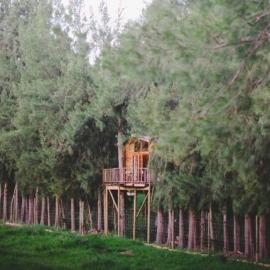 Vindoux Tree House Guest Farm & Spa، فندق في تولباغ