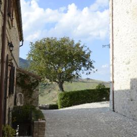 Appealing Apartment in Petrella Guidi with near Centre