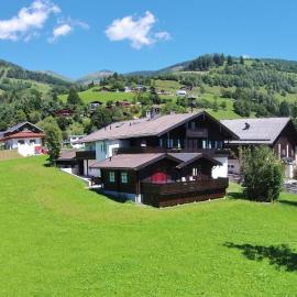 Heritage Chalet in Niedernsill near Ski Area, hotel in Niedernsill
