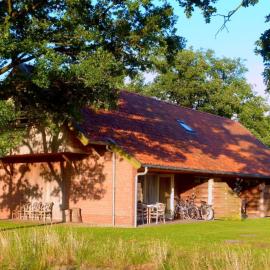Holiday Home in Geesteren with Roof Terrace,Garden Furniture