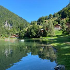 L'Ecrin des Myrtilles - Appartement cosy - Piscine et vue montagne - Alpes - Val d'Arly - Aravis et Beaufortain
