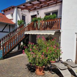 Ferienwohnungen Christine Knoll, hotel a Bad Frankenhausen