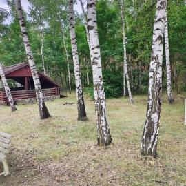 Datyń에 위치한 호텔 Waldcamp Hundeparadies