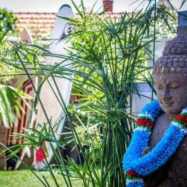 VILLA ZENITH Hostel-LA SURF HOUSE, hôtel à Lacanau-Océan