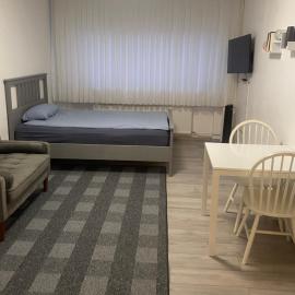 Ganze Apartment in Saarbrücken City