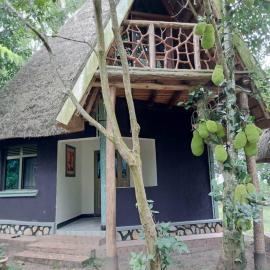 Nguru Farm Cottages、Wakisoのホテル