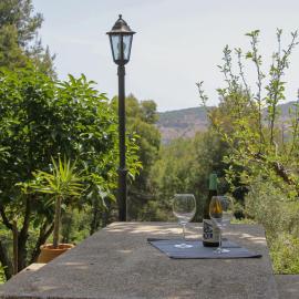 Refugio verde con encanto