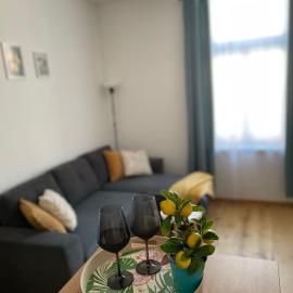 Mirno in elegantno stanovanje - Parkirišče, Netflix, wifi