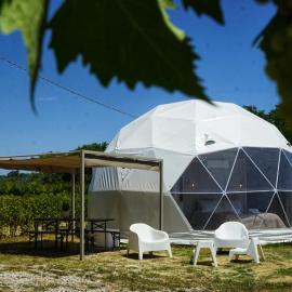 Geodome in the vineyard with pool