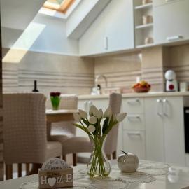 Studio Apartman Gracia