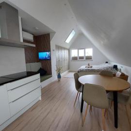Comfort Apartment Hoofddorp near Amsterdam Schiphol
