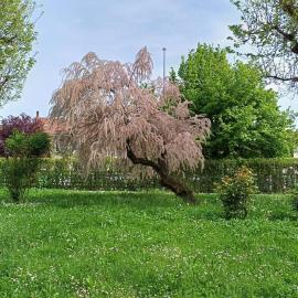 La Casa nel Parco, отель в городе Монкальери